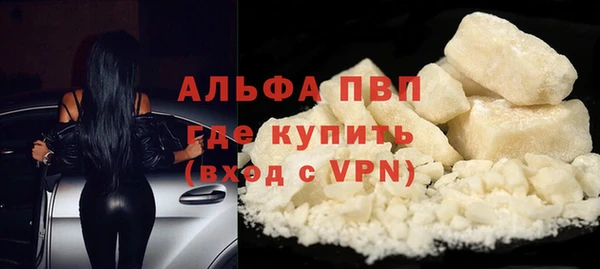 шишки Новозыбков