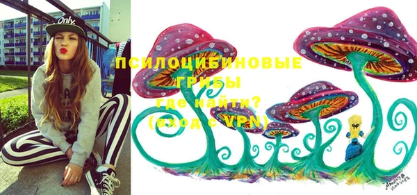 шишки Новозыбков