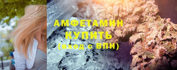 шишки Новозыбков