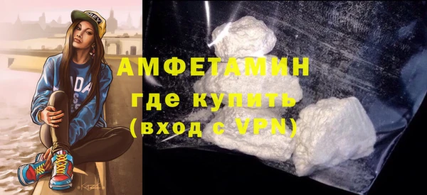 шишки Новозыбков